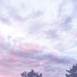 Meet your Posher, Rosalyn